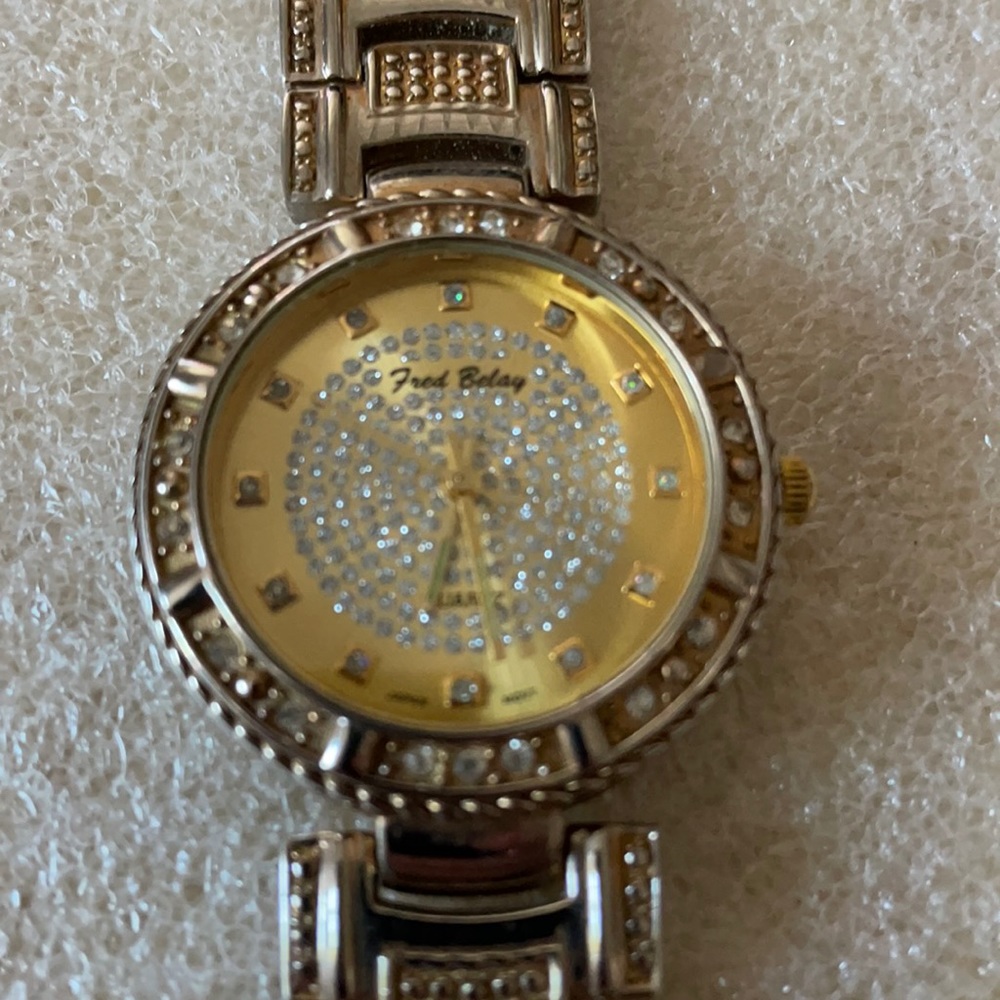 Fred Belay watch